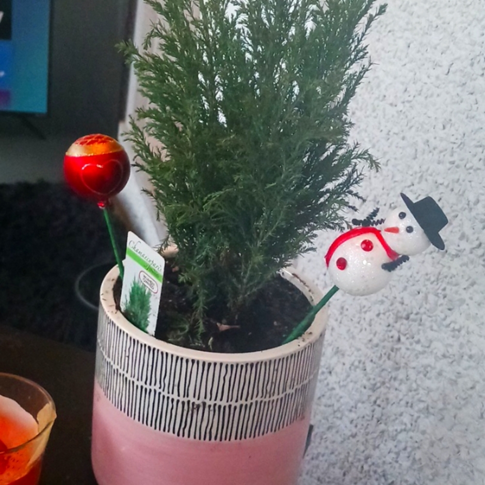 Christmas tree